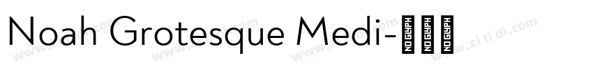 Noah Grotesque Medi字体转换 Noah Grotesque Medi字体转换